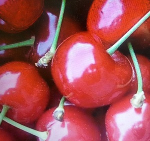 7 Best Anti Aging Fruit Face Packs that you Must Definitely Try