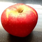 apples1234