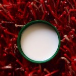 remove dark circles_coconut milk