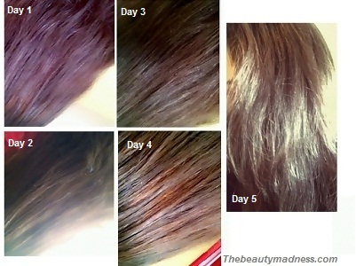 5 Homemade Hair Conditioners to get Instant Shine, Silky and Bouncy Hair