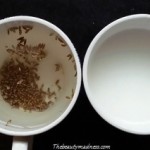 cumin_seeds_dark_spots