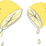 thebeautymadness-lemon