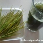 regrow hair on bald head