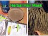 5 Natural Hair Mask Recipes for Silky Soft Hair