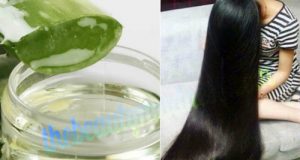 Aloe Vera Hair Mask Recipe To Make Your Hair Soft Smooth in Winter
