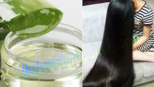 Aloe Vera Hair Mask Recipe To Make Your Hair Soft Smooth in Winter
