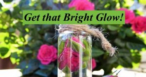 Bright Glow! Daily Face Care Regimen for Women Using Only Natural things