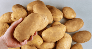 5 Quick, Delicious Potato Snack Recipes to Try Right Now! Low-Calorie