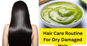 Hair Care Routine For Dry Damaged Hair