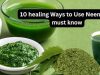 10 healing Ways to Use Neem that No One Has Ever Shown You Before!