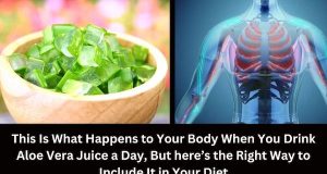 This Happens to Your Body When You Drink One Glass of Aloe Vera Juice a Day, But This is How You Should Have It