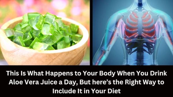 This Is What Happens to Your Body When You Eat One Apple a Day, But Here’s the Right Way to Include It in Your Diet - 1