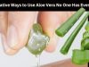 9 innovative ways to use Aloe Vera you’ve never heard of before!