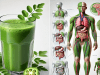 What Happens to Your Body If You Drink a Glass of Moringa Juice Daily, But You Must Have It This Way