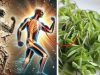 You’ll Be Surprised! You can Cure Weak Bones Naturally by Eating These 10 Best Foods