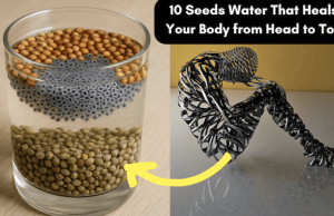 10 Seeds Water That Heals Your Body from Head to Toe